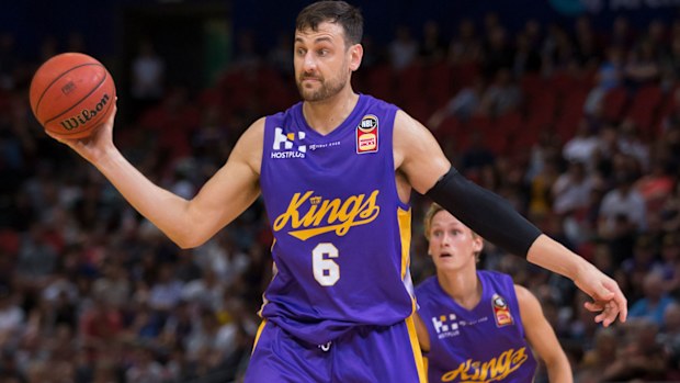 Andrew Bogut