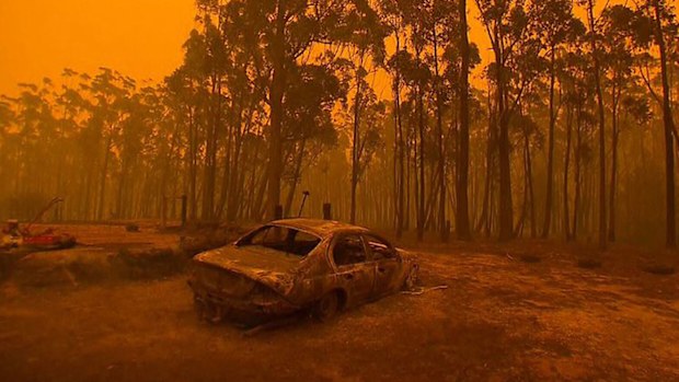 Australia bushfires: Governments 'will learn from Black Summer Royal ...