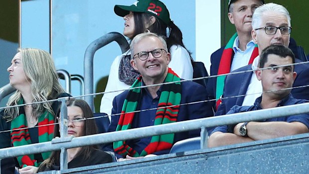 Anthony Albanese watching the South Sydney Rabbitohs.