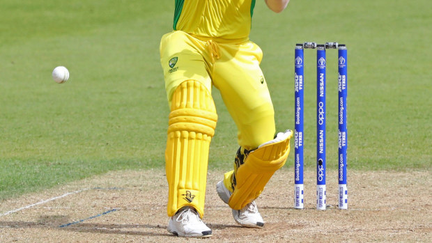 David Warner of Australia batting during the ICC Cricket World Cup