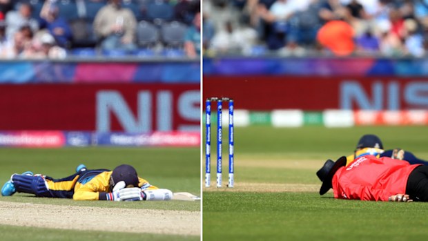 Players and umpires fall to the ground after a bee swarm