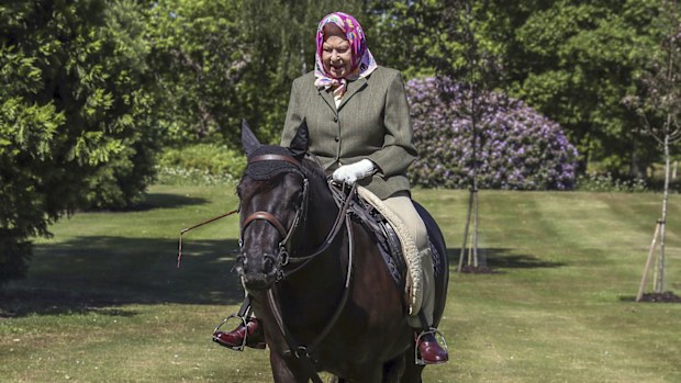 Queen riding horses at Windsor
