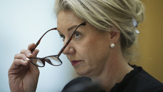 Agriculture Minister Bridget McKenzie during a Senate estimates hearing.