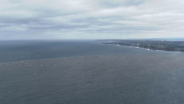 pollution beaches sydney nsw floods