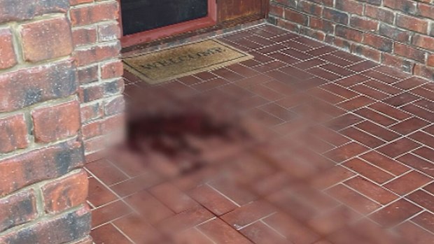 Horse head found on Murray Bridge doorstep, Adelaide.
