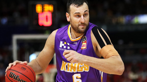 Andrew Bogut