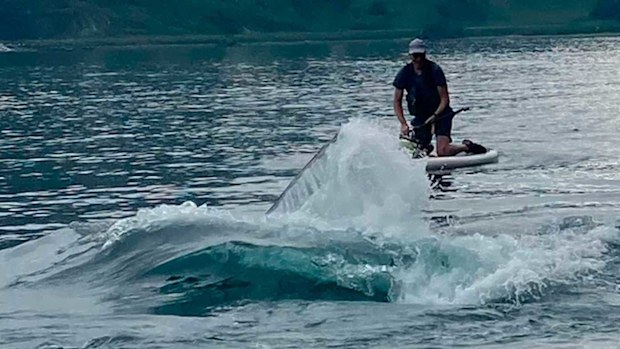 A whale approaches Kevin Williams while he was paddleboarding in Prince William Sound near Whittier, Alaska.
