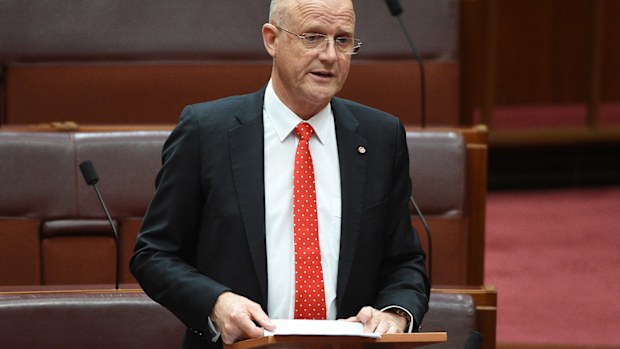 Liberal Democratic Party Senator David Leyonhjelm speaks on Adler guns in the Senate. (AAP)