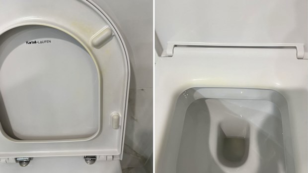 cleaning bleach toilet bathroom