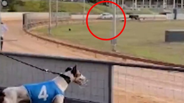Uber Eats driver caught driving on Mandurah Greyhound race track in WA.