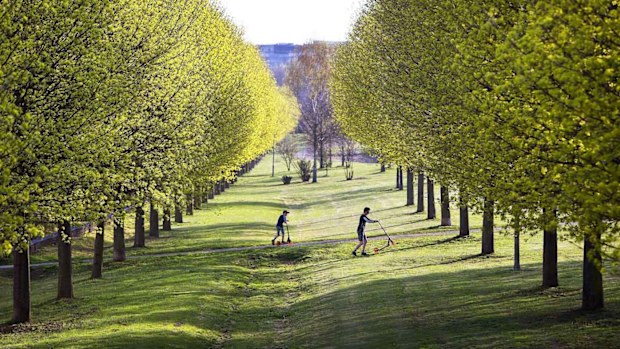 These German children are dramatically outweighed by the trees and grass around them. (AAP)