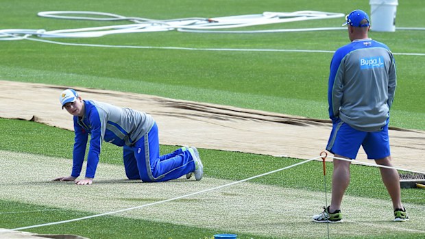 Steve Smith inspects the wicket at Bellerive Oval. (AAP)