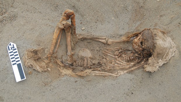 The mass grave dates back to around 1450.