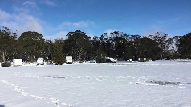 Snowfall in Miela, Tasmania, earlier this week.(Great Lake Hotel/Facebook)