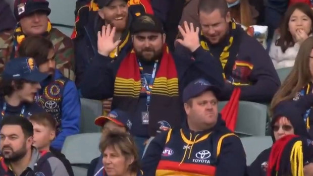 AFL fan