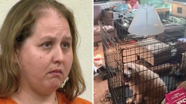 The children's mother Susan Nelson, and a photo showing one of the four dogs found inside the home.