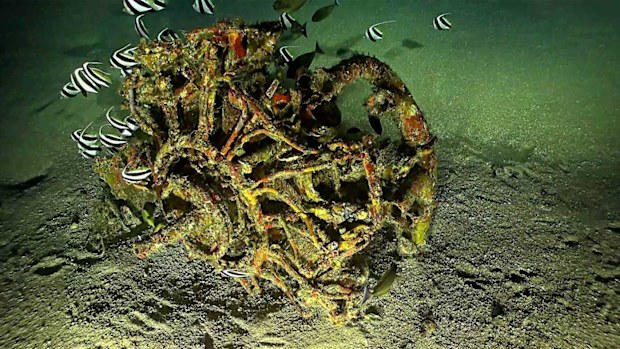 The engine of the Avenger was found close to the wreckage.