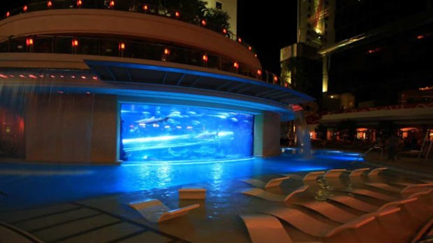 This pool's shark tank is not for the faint of heart.