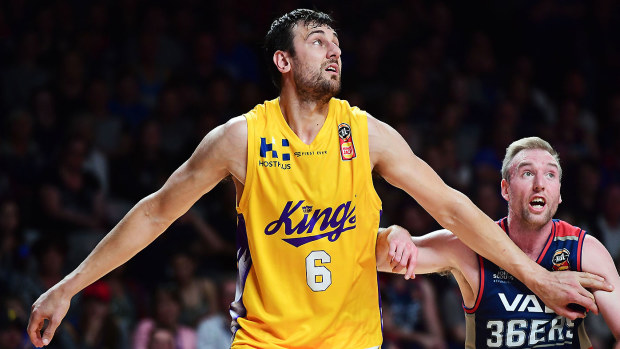 Andrew Bogut