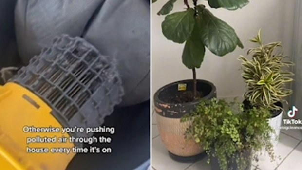 Six ways to improve air quality inside your home
