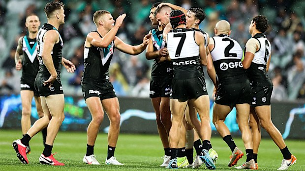 Port Adelaide Power