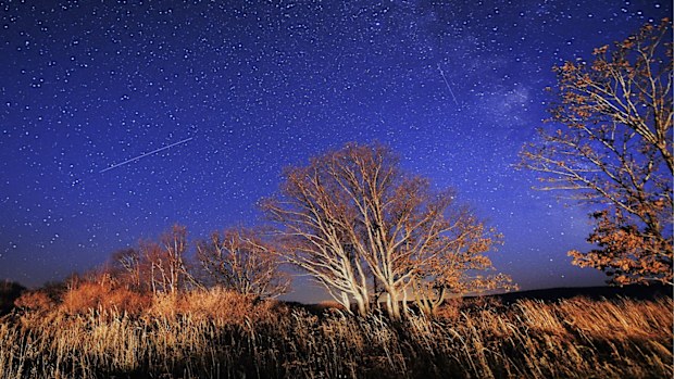 Meteors streak across the night sky during the Orionid meteor shower. Photo by Yuri Smityuk\TASS via Getty Images