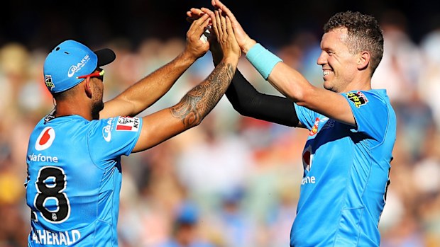 Peter Siddle of the Renegades celebrates taking the wicket of Dan Christian of the Renegades