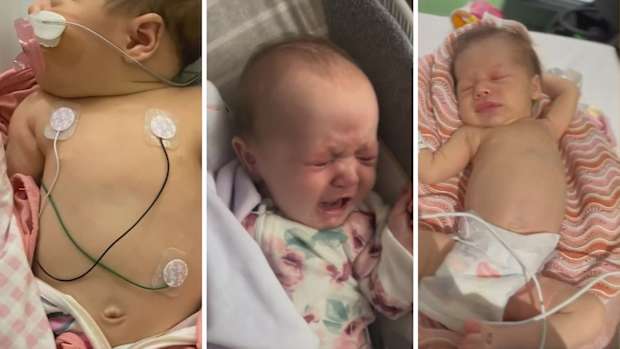 Adelaide's RSV rates the highest in years
