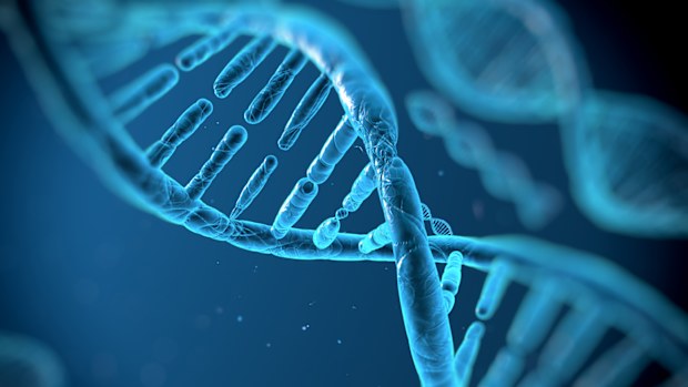 CRISPR use a tool that cuts or "edits" DNA in a specific spot