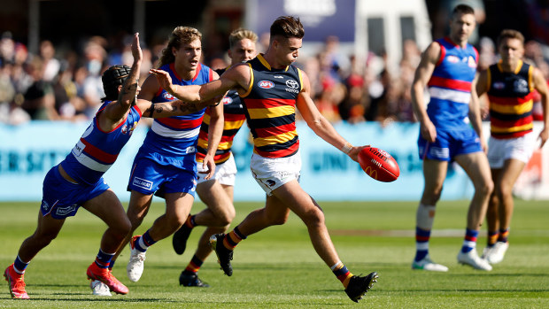 Ben Keays