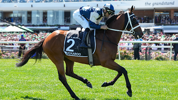 Buckaroo 2024 Melbourne Cup için barajlara doğru yola çıkıyor.