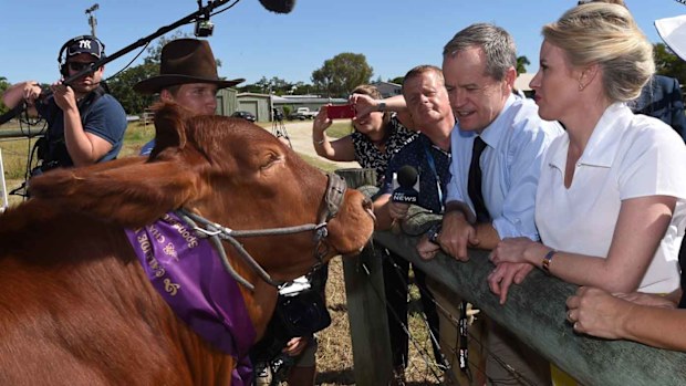 Bill Shorten (second from right) in Rockhampton. (AAP)