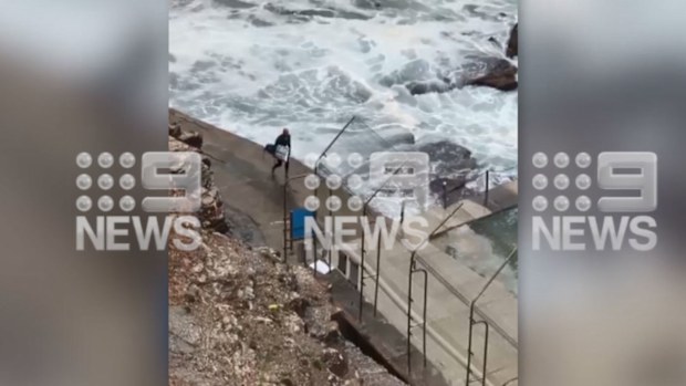 Kelly Slater snaps his board off large swell at Sydney's Avalon Beach. (Nine)