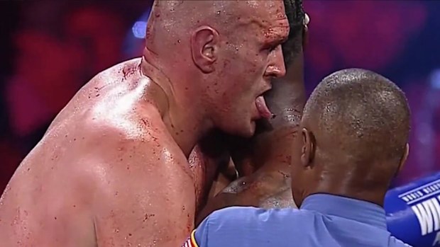 Tyson Fury, Deontay Wilder