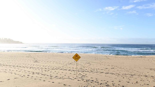 Normally full of people, Bondi Beach is now closed.