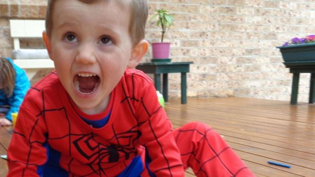 Missing toddler William Tyrrell. 
