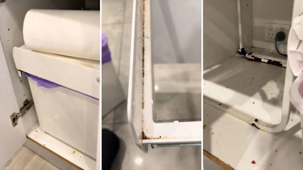 Dirty spots around the bin can make your kitchen smell