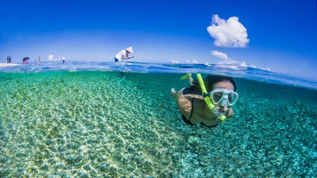 Okinawa snorkelling