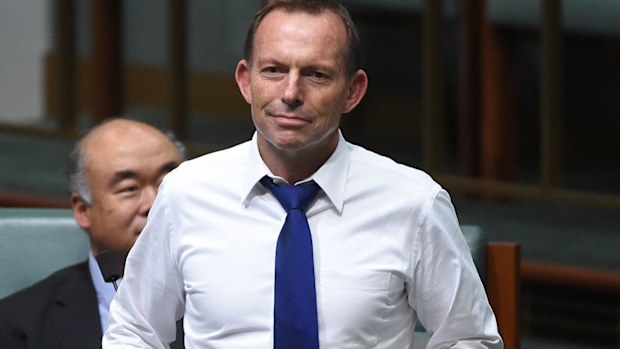 Former PM Tony Abbott has said any abandonment of the party would be a "catastrophic mistake". (AAP)