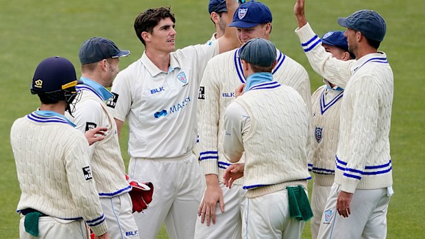 Sean Abbott celebrates a wicket for NSW.