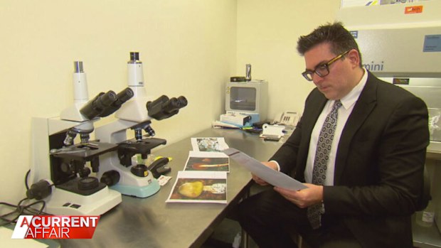 Microbiologist Dr Cameron Jones.