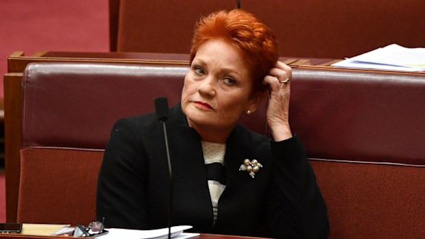 Pauline Hanson appeared to suggest the Port Arthur massacre was a government conspiracy.
