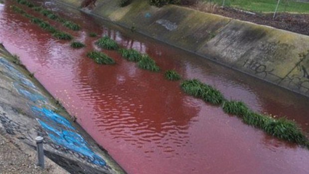 The Stony Creek runs red as the EPA investigate the cause. 