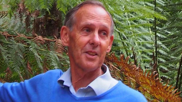 Bob Brown in January. (AAP)
