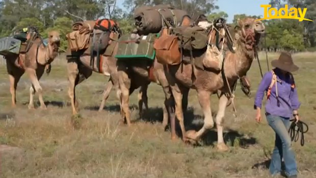 Sophie Matterson camel trek