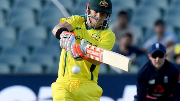 David Warner is back in Australian colours for the first time in more than 12 months.