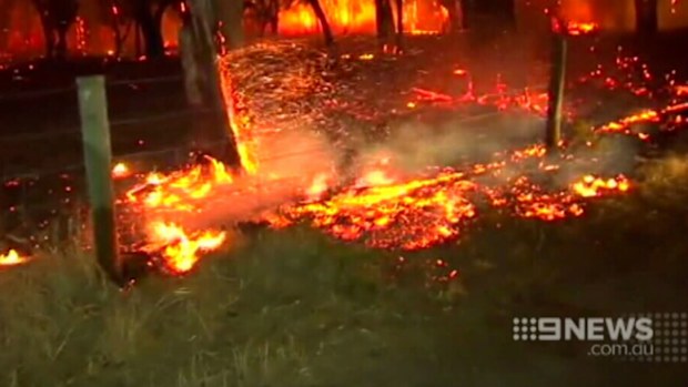 The blaze has destroyed more than 100 homes. (9NEWS)