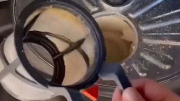 Dishwasher filter