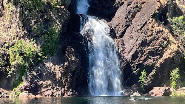 Crocodile attack at Wangi Falls in Litchfield National Park, Northern Territory.