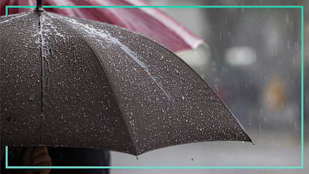 9PR: Best umbrellas to withstand wild weather 
